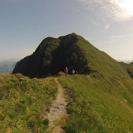 Alm Zellamsee 아파트 *