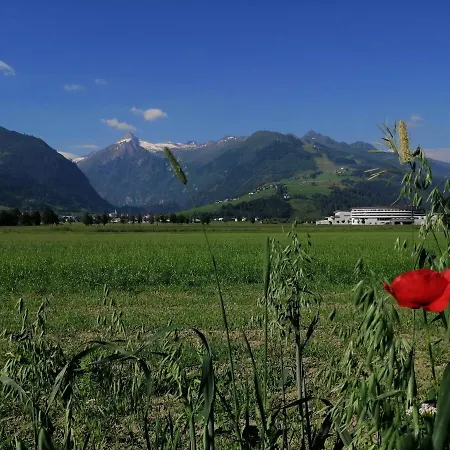 아파트 Alm Zellamsee