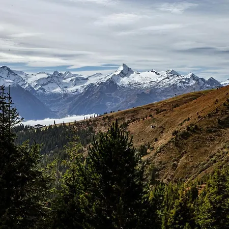 Alm Zellamsee 아파트 젤암제