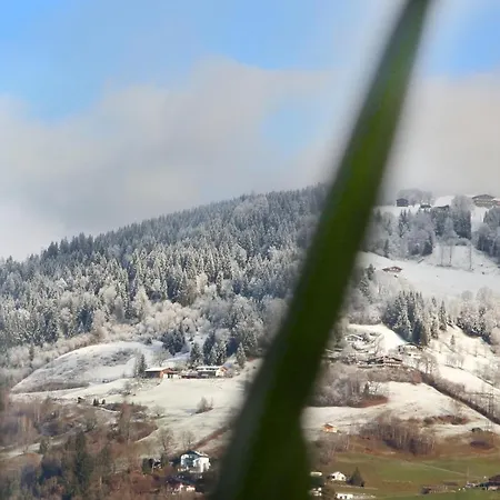 Alm Appartements Zellamsee Apartment *