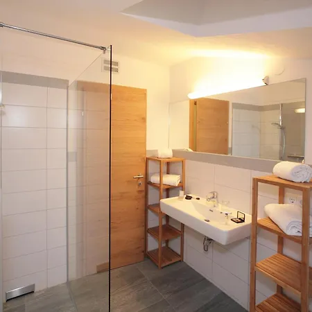 Apartment Alm Appartements Zellamsee Zell am See