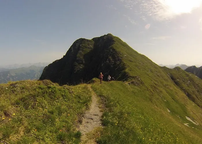 Alm Zellamsee アパート *