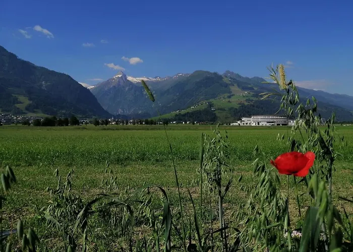 アパート Alm Zellamsee