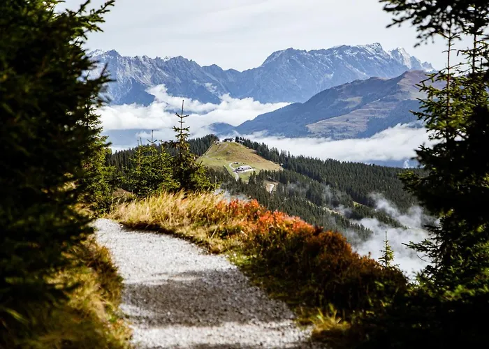 Alm Zellamsee アパート *