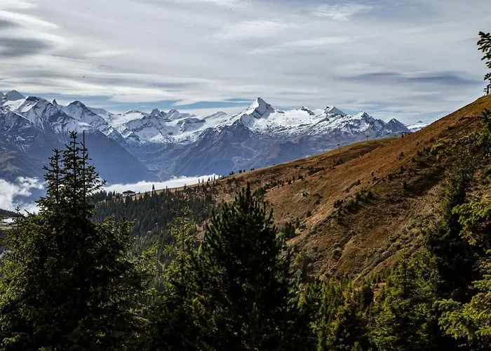 Alm Zellamsee Lejlighed Zell am See