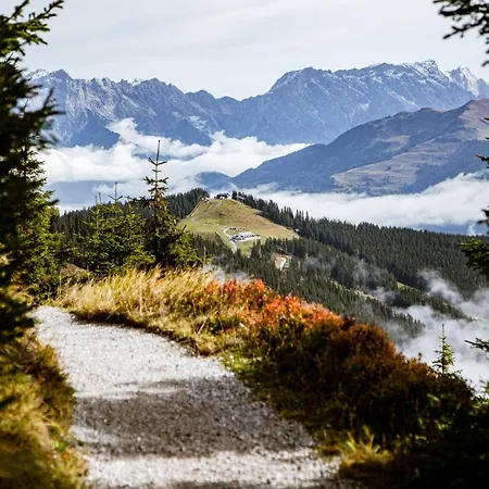 Alm Zellamsee 公寓 *