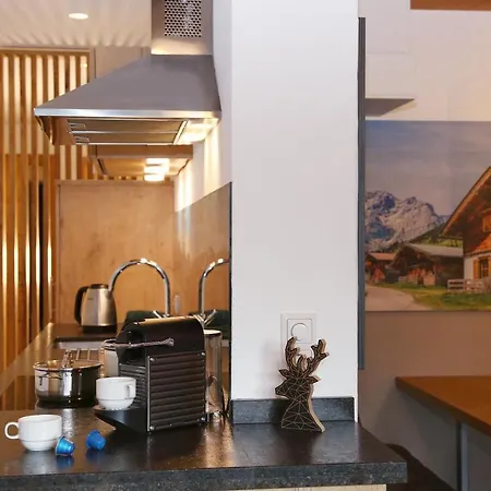 Alm Zellamsee 滨湖采尔