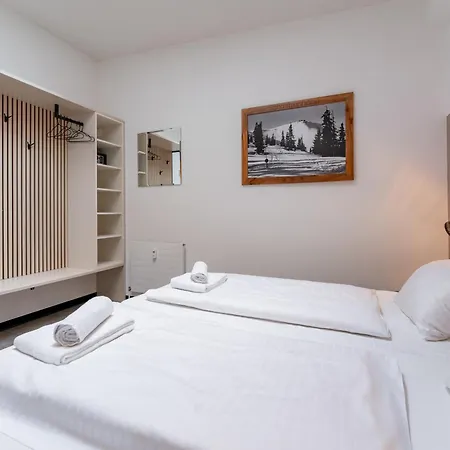 公寓 Alm Zellamsee